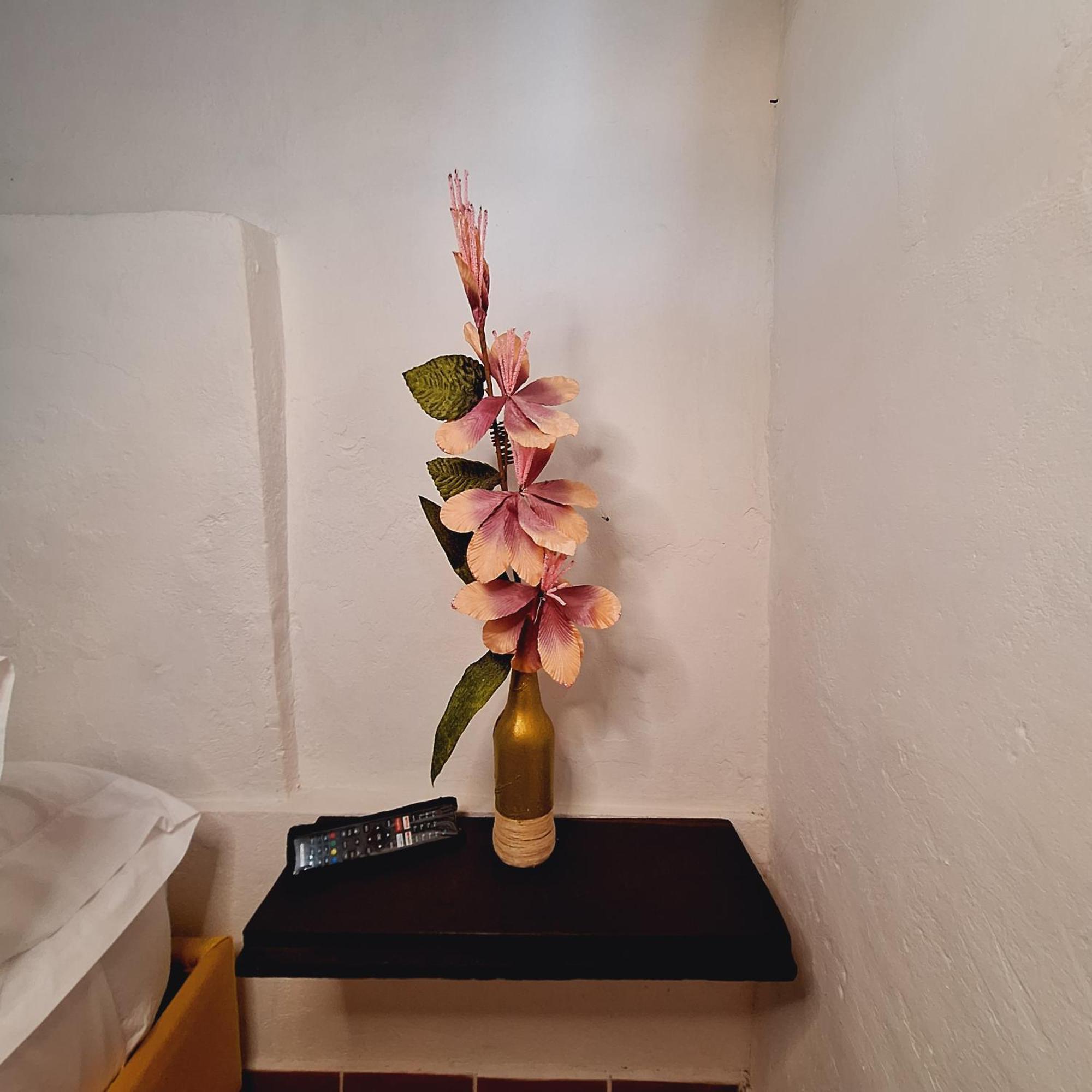 Hostal Colombian Gold San Gil Eksteriør billede